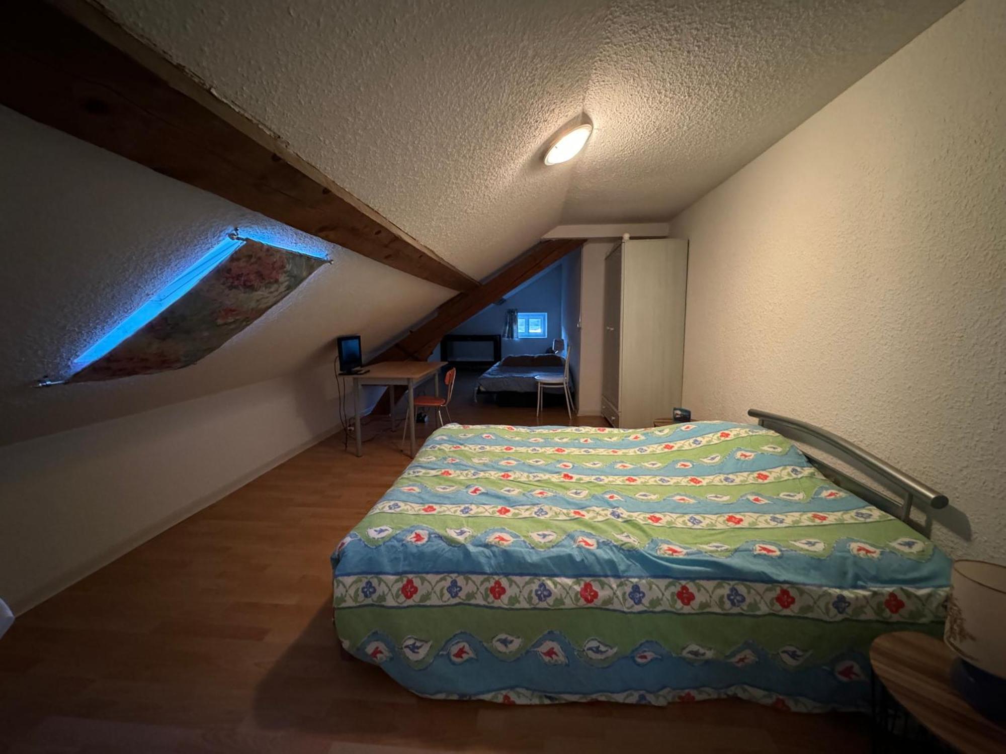 Appartement Logis Balneen Bains-les-Bains Eksteriør bilde